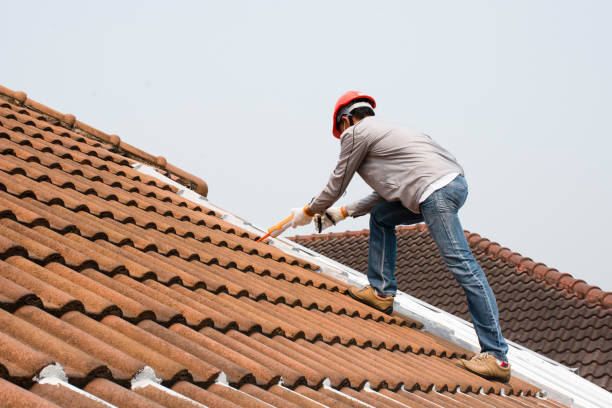 Best Solar Panel Roofing Installation  in Fairlawn, VA