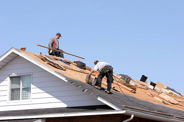 Best Roof Insulation Installation  in Fairlawn, VA