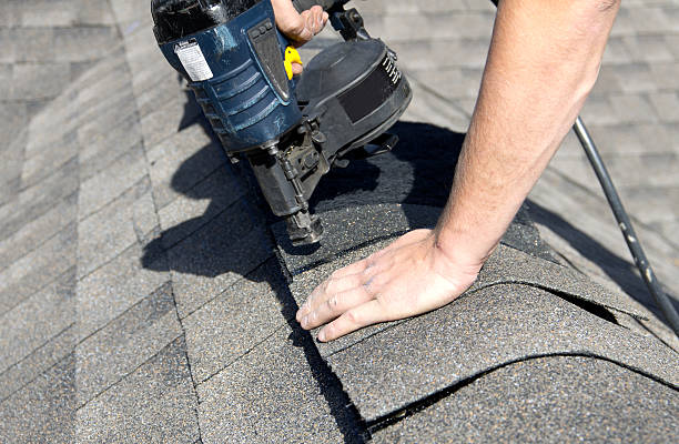 Best Roof Moss and Algae Removal  in Fairlawn, VA